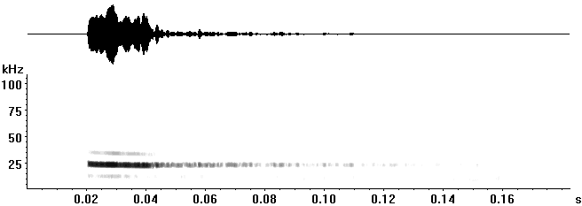 example11